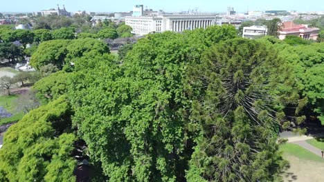 frondosos árboles verdes de un parque con la facultad de derecho de la universidad de buenos aires al fondo