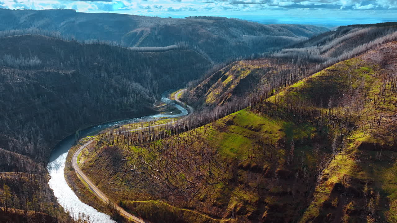 Wavy river makes its way among the mighty mountains in Oregon State, the USA. Dry trunks of the forest cover the rocks. Top view.