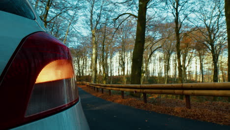Car Turn Signal Light Broken Down in the Mountains