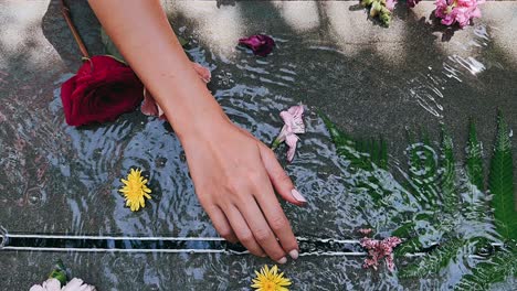 woman's hand interacting with flowers in water