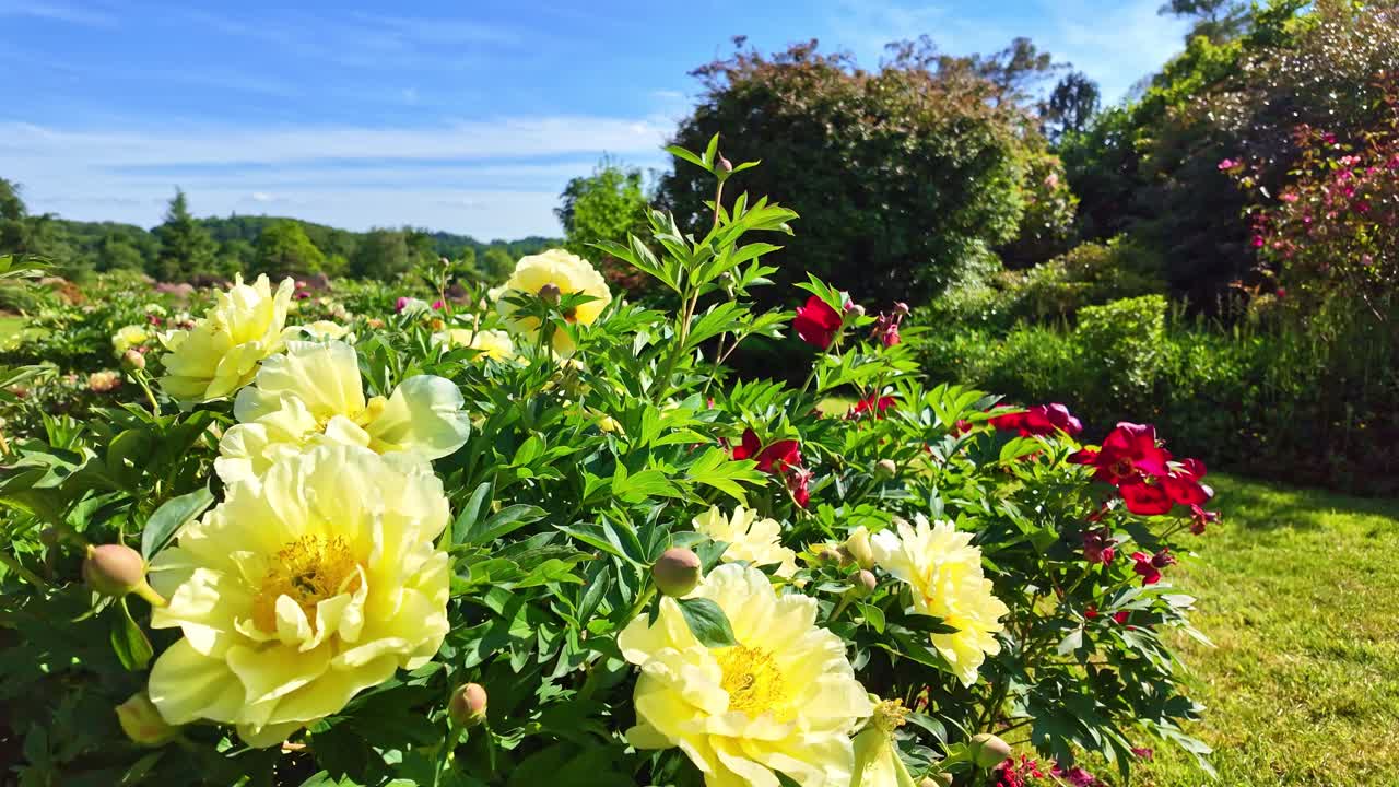 Botanical garden of Upper Brittany landscape and the beauty flowers on a tidy garden environment, Le Chatellier, Ille-et-Vilaine, France
