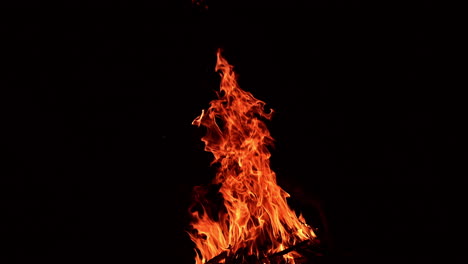 campfire flames at night