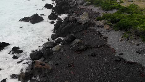 Fur-Seal-colony-on-New-Zealand-shore,-cloudy-day