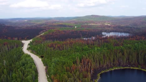 Panoramic-aerial-view-of-burnt-forest-after-deadly-wildfire,-Canada