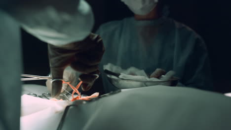 enfermera que asiste al practicante de la operación en la sala de la clínica. equipo médico sutura herida