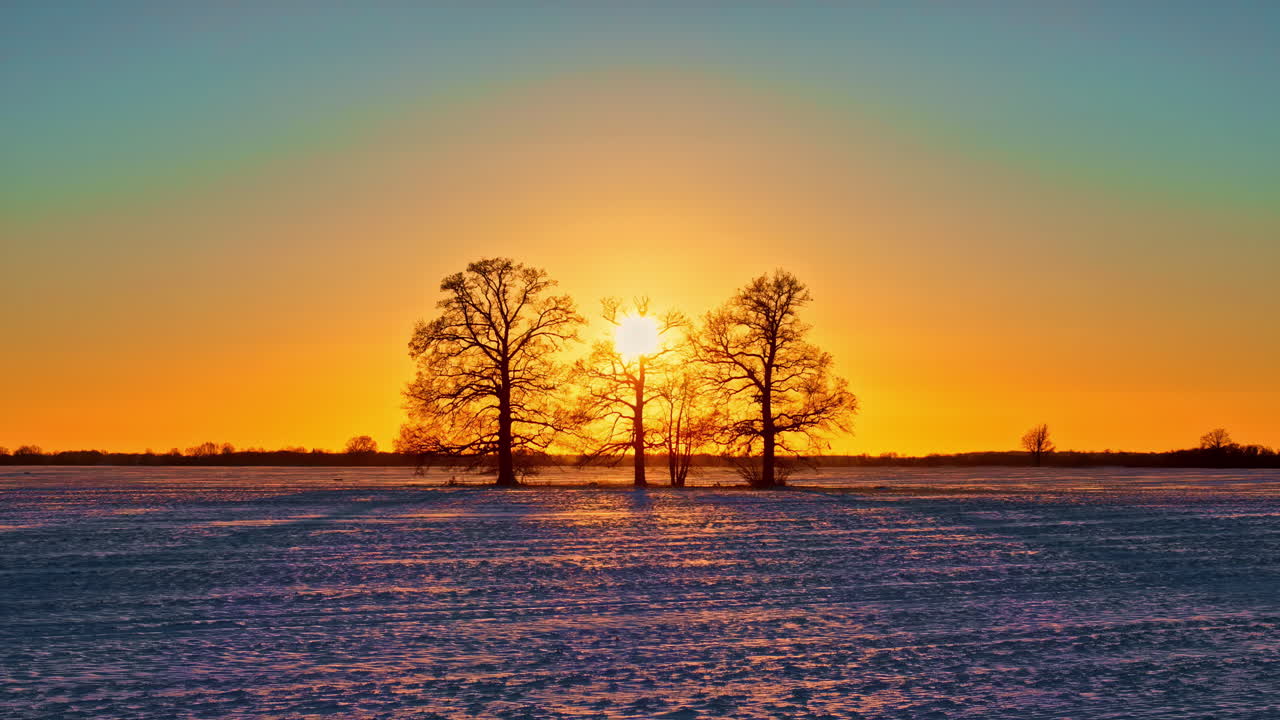 Pull back aerial shot capturing sun rays through silhouette bare trees in a field during sunrise