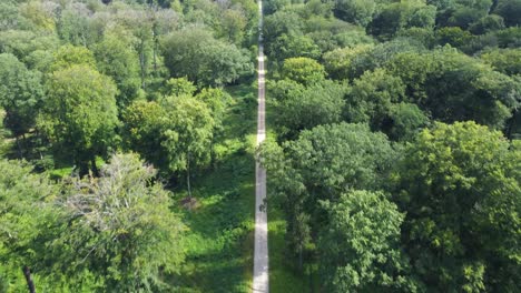 vista cercana de una calle en el medio de un bosque, revelando una gran antena de radio