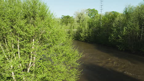 Lush-greenery-along-the-Wolf-River-in-Collierville,-Tennessee,-with-clear-skies