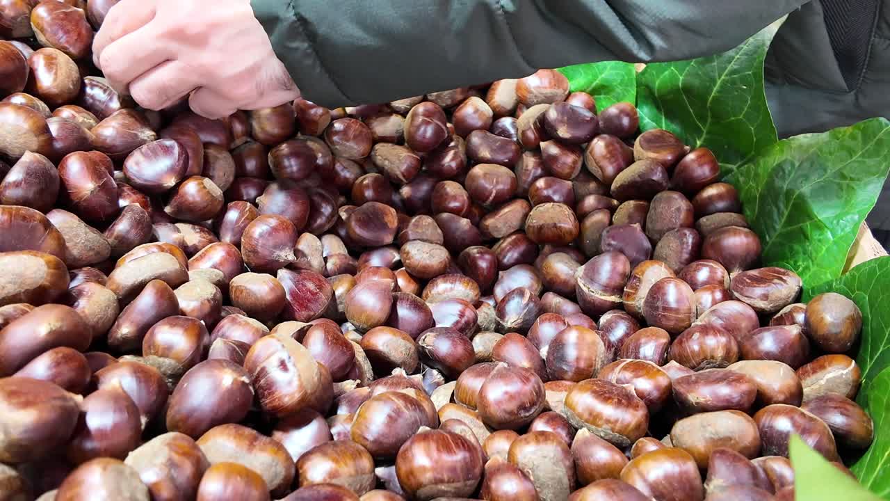 Person selecting chestnuts at market