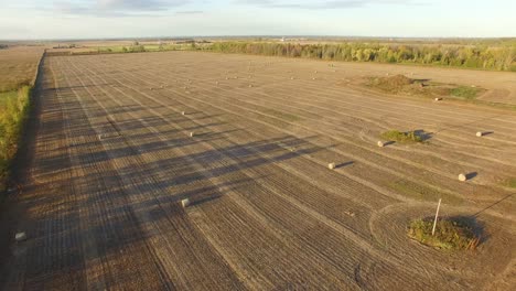 Wide-angle-aerial-view-of-a-golden-agricultural-field-at-sunset-with-large-bales-of-straw-or-hay-in-neat-rows-ready-to-be-picked-up-and-stored-for-winter