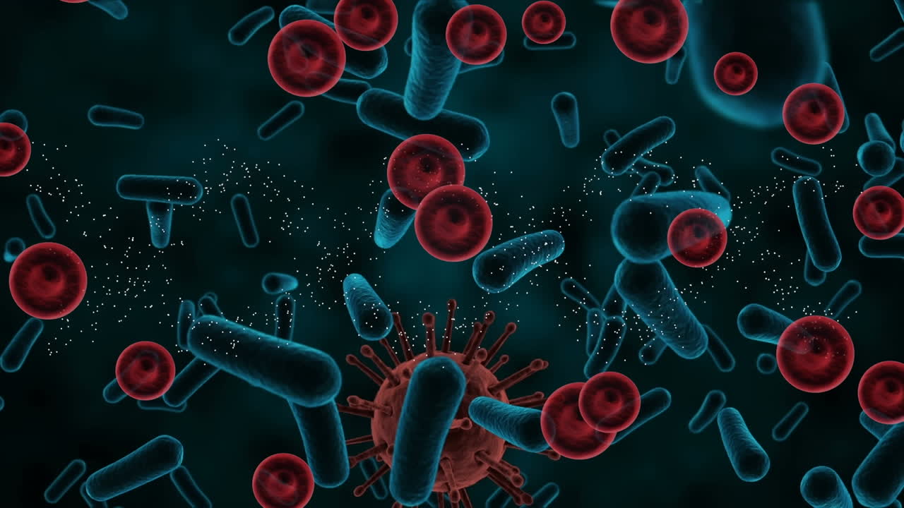 Animazione di cellule del sangue e batteri su sfondo nero