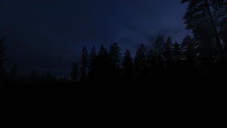 campfire smoke in darkening northern forest sky as day turns to night