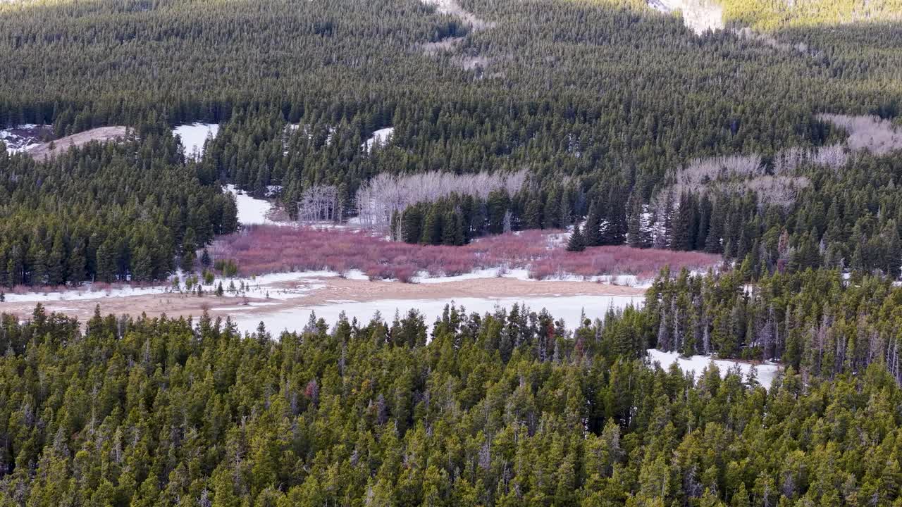 Riprese aeree con drone di una fitta foresta sempreverde che circonda un fiume marrone fangoso con chiazze di neve in Montana, ripreso in inverno.