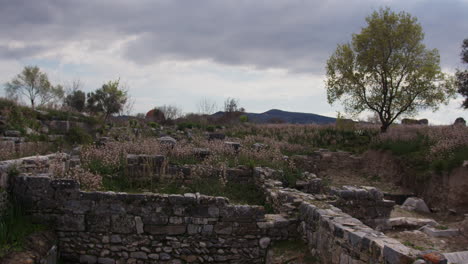 stone walls in field with a tree in miletus