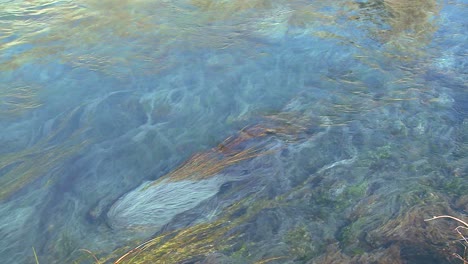 blue water flows in a mountain stream in a beautiful abstract patterns