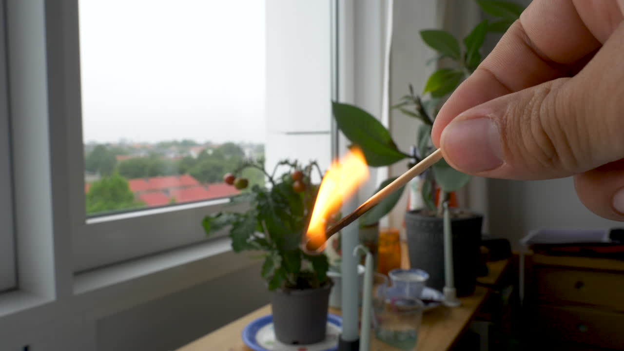 Close-up of a burning match held in a hand, near a window with indoor plants