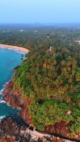 tropical forest growing on the rocky shore of the indian ocean. aerial perspective on the coastline of sri lanka at daytime. vertical video.