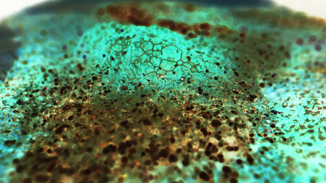 Abstract Microscopic View of Cellular Structure