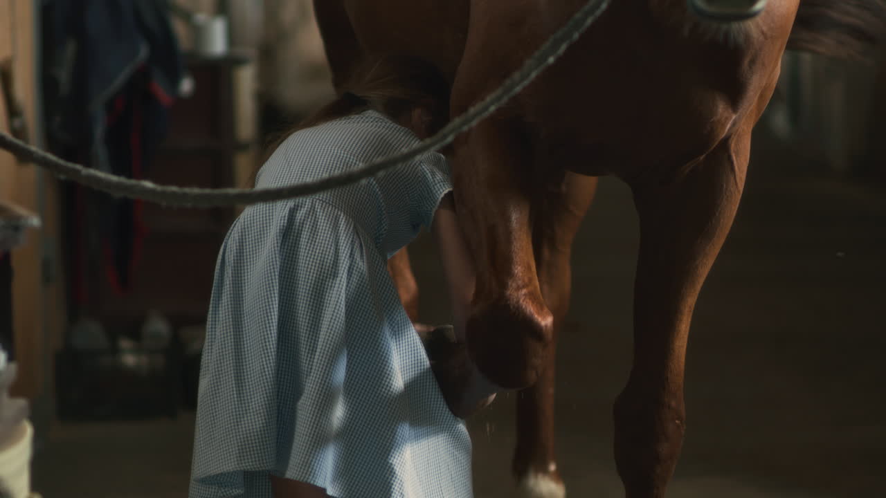 Girl Grooming a Horse in a Stable