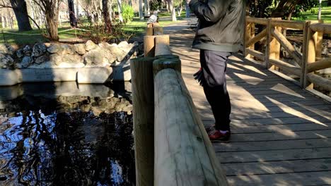 Pigeon-close-up-on-top-of-a-rail-in-a-wooden-bridge-in-Retiro-park,-Madrid