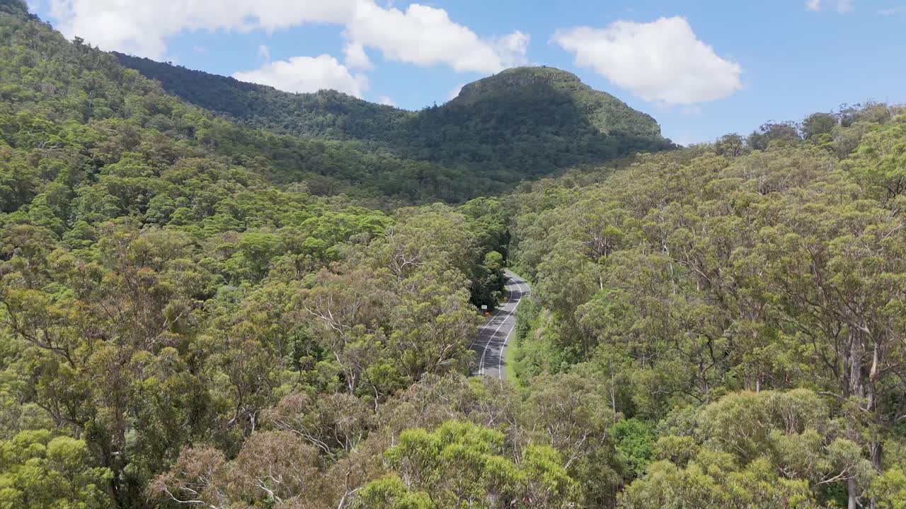 울창한 숲을 가로지르는 산길