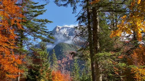 Beautiful-autumn-landscape-in-the-near-of-Scharnitz-in-Austria-with-colorful-deciduous-trees-and-snow-covered-mountains-in-the-background