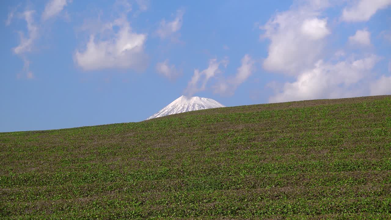 일본의 녹차 밭 뒤에서 정점에 도달한 후지산 정상의 추상적 전망