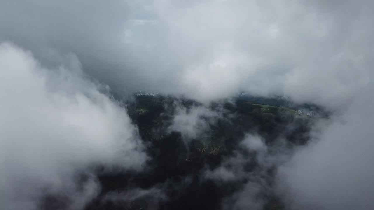페 언덕 (bukit bendera) 의 숲에서 놀라운 안개 풍경