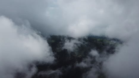 asombroso paisaje nebuloso en el bosque de la colina de penang (bukit bendera)