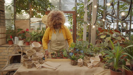 woman working with plants in flower nursery