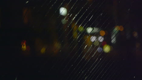 rainy night city lights