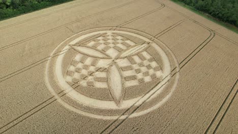 Aerial-view-rising-above-South-Wonston-2023-anonymous-crop-circle-vandalism-on-golden-Hampshire-wheat-field