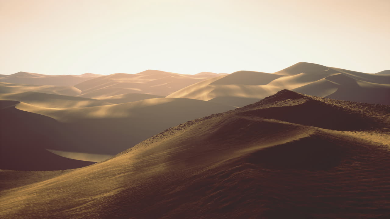 Golden dunes under warm sunlight in a vast desert landscape