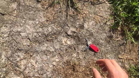 llave de casa perdida encontrada en el suelo en la hierba