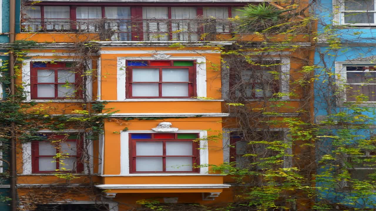 casas coloridas con hiedra en istanbul