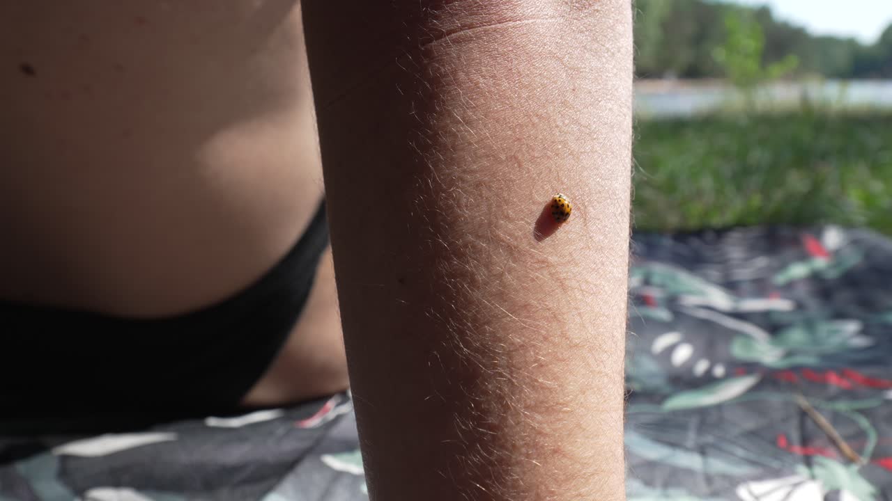 Nærbilde av en marihøne på blek hvit hud på armen til en europeisk kvinne.