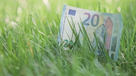 billete de 20 euros - billete de veinte euros sobre la hierba verde