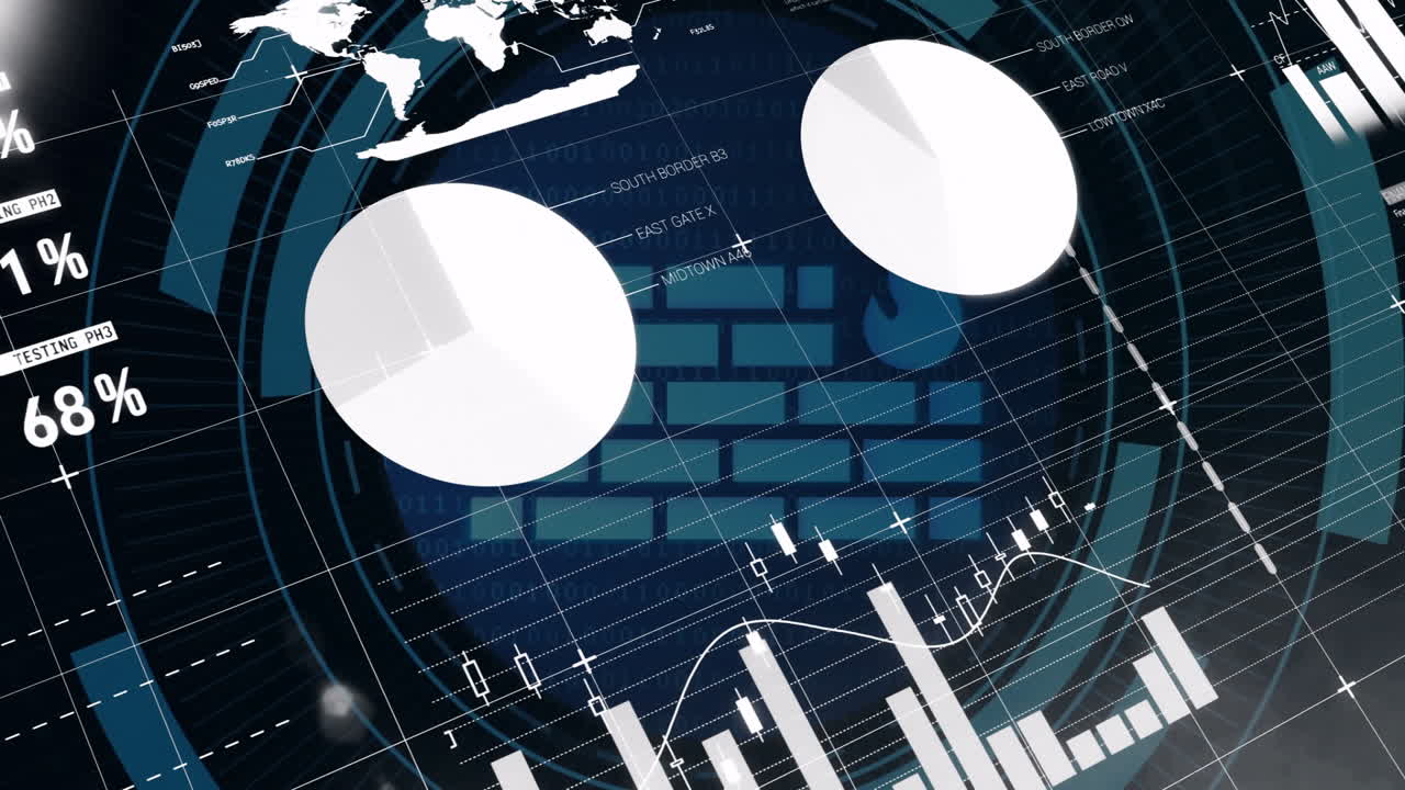 Financial data charts and graphs animation over abstract face with world map
