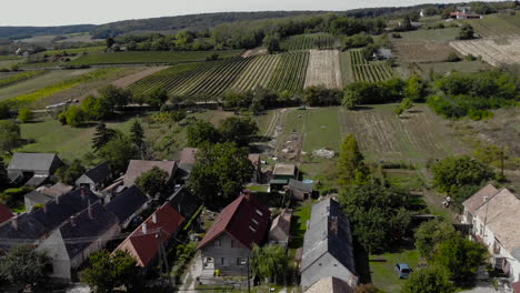 Descending-shot-between-houses-of-vineyards-next-to-a-cozy-village-on-a-sunny-day