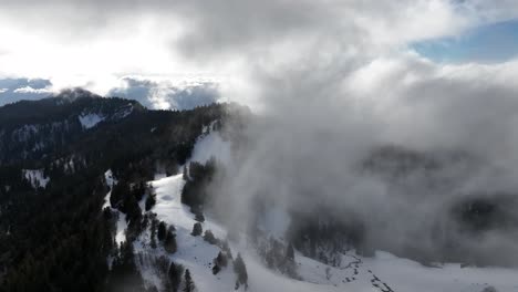 volando en nubes de vapor sobre el valle de nieve con pinos, chartreuse, los alpes franceses