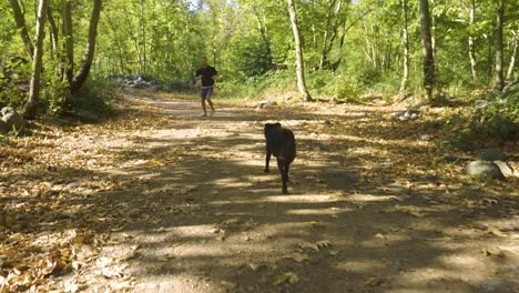 the man playing with the dog.