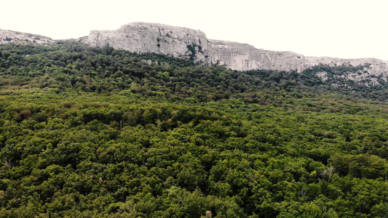 toma de drones del bosque de sainte baume, la montaña y la cueva de maría magdalena en provence, sur de francia