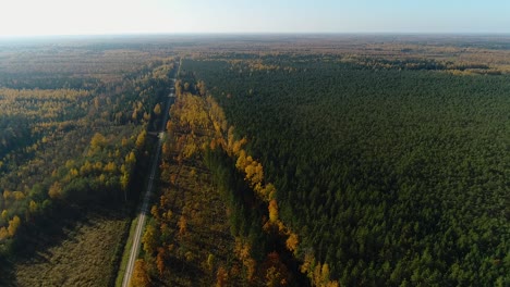 Colorful-seasonal-forests-in-autumn-fall-aerial-wide-view