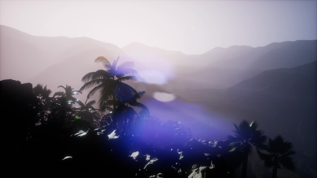 ⁇ 나무 를 가로지르는 해 가 지는 광선