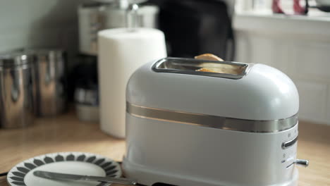 breakfast bagel bun being put into white toaster by male hand