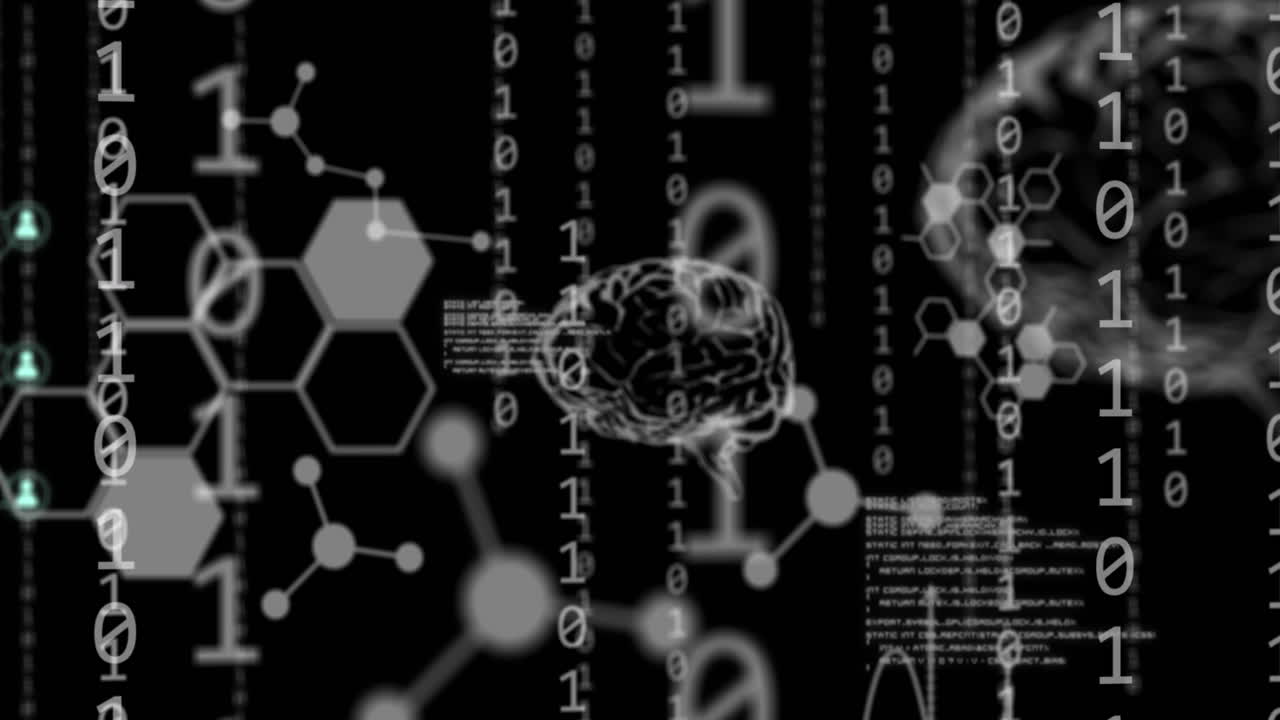 인간 뇌의 애니메이션, 바이너리 코딩 및 데이터 처리