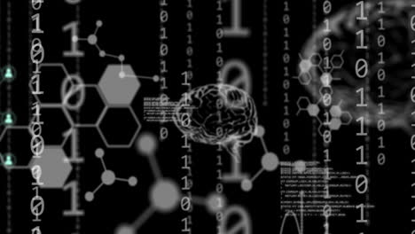 animación de cerebros humanos, codificación binaria y procesamiento de datos.