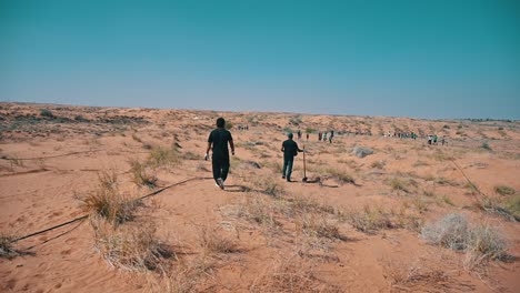 the arabian desert landscape in the uae, featuring patches of green plants and trees