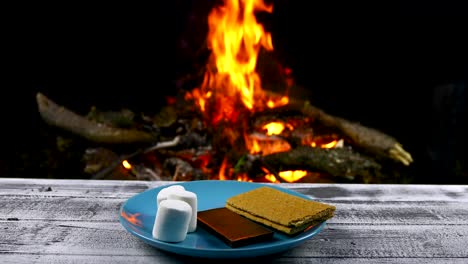 s'mores in front of a fire with a child toasting marshmallows over a fire