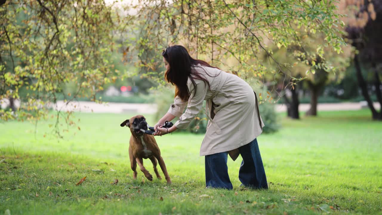 Mulher brincando de cabo de guerra com um cão boxer em um parque
